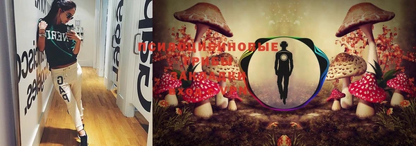 марки lsd Киреевск