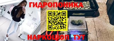 кристаллы Гусь-Хрустальный