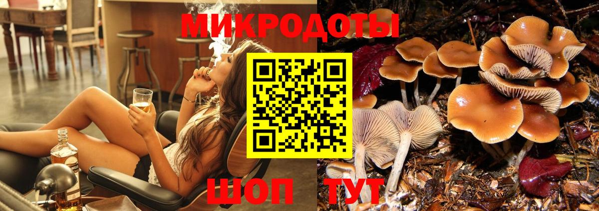 как найти наркотики  Вход с VPN  Михайловка  Галлюциногенные грибы MAGIC MUSHROOMS 